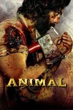 Animal (2023) Animal (2023)