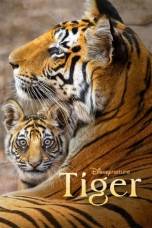 Tiger (2024) Tiger (2024)