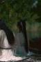 Lady Revenger Returns From the Fire Season 1 Episode 19