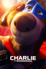 Charlie the Wonderdog (2025) Charlie the Wonderdog (2025)